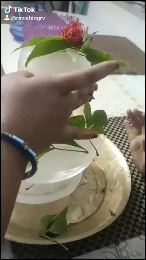 @ravishingRv