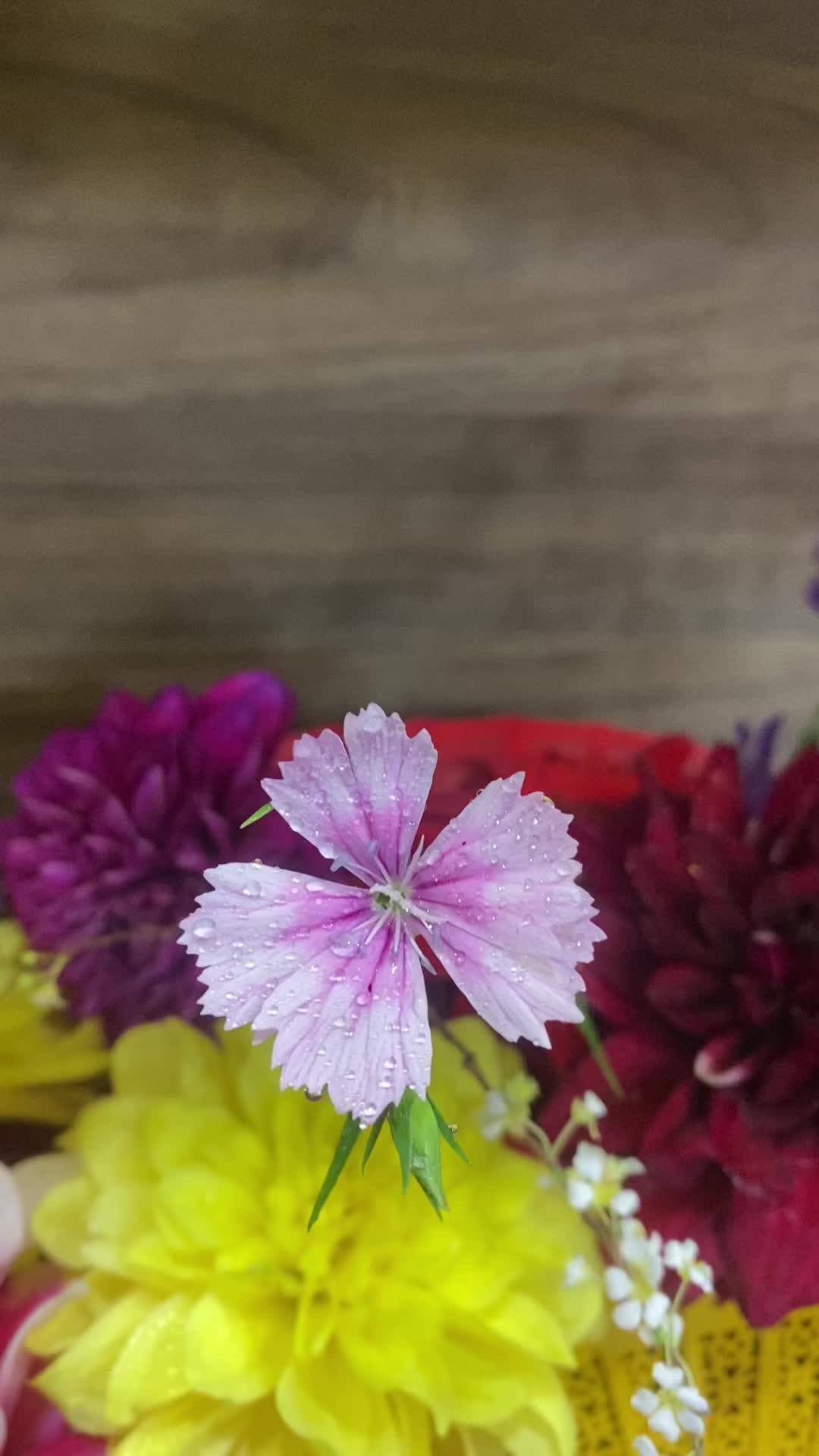 @Hiền bông dạy làm giỏ quà