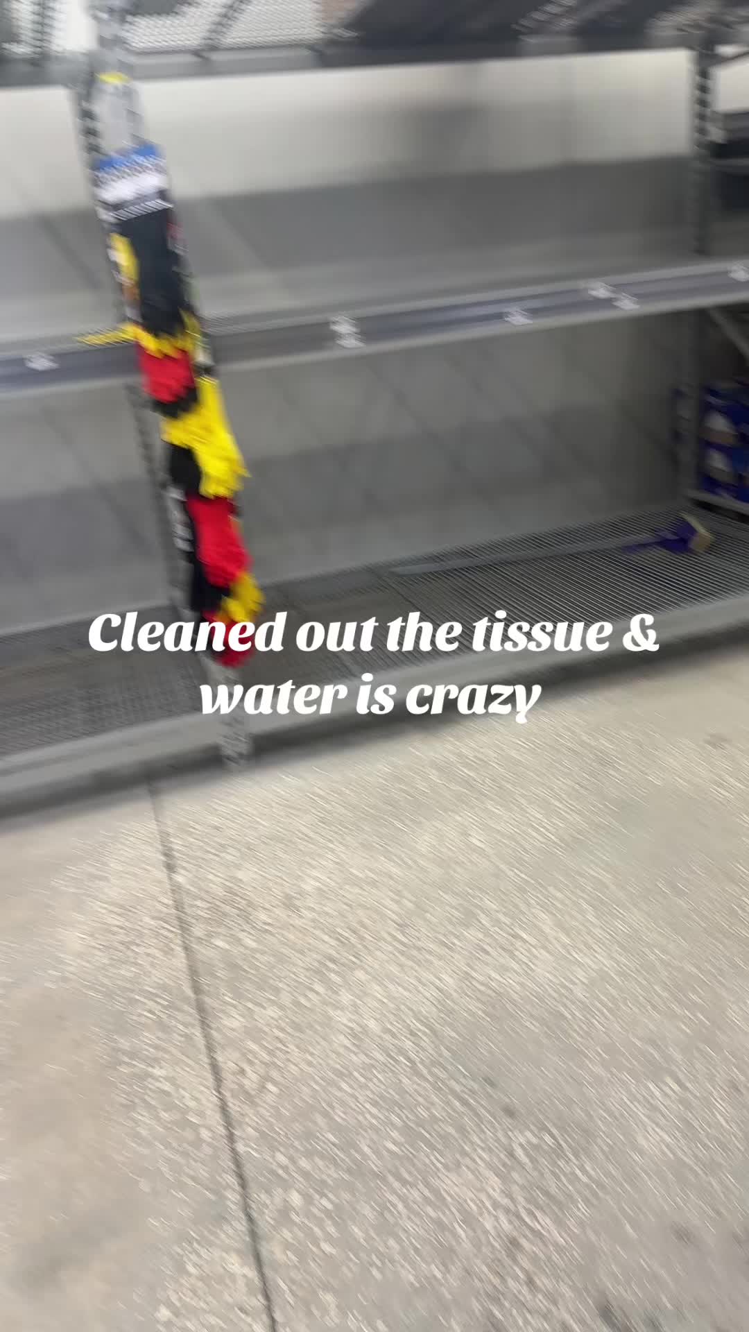 @Hi🦤