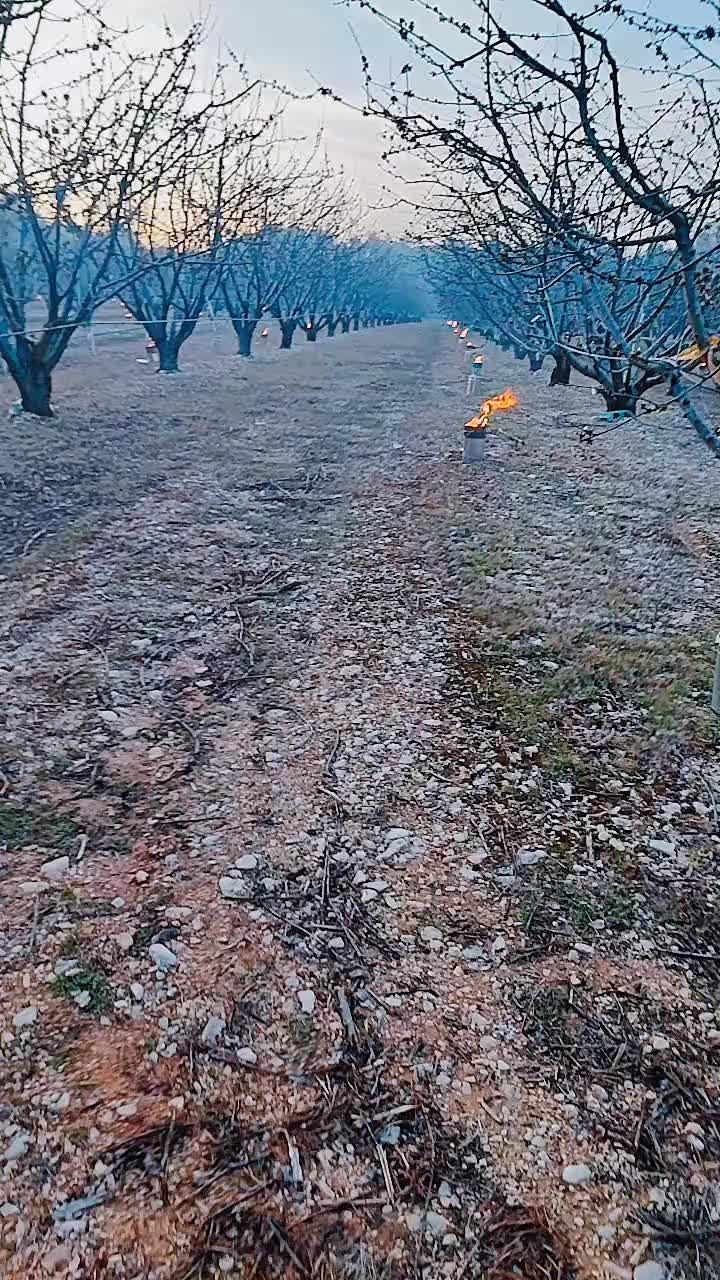 @Regina naturii 1