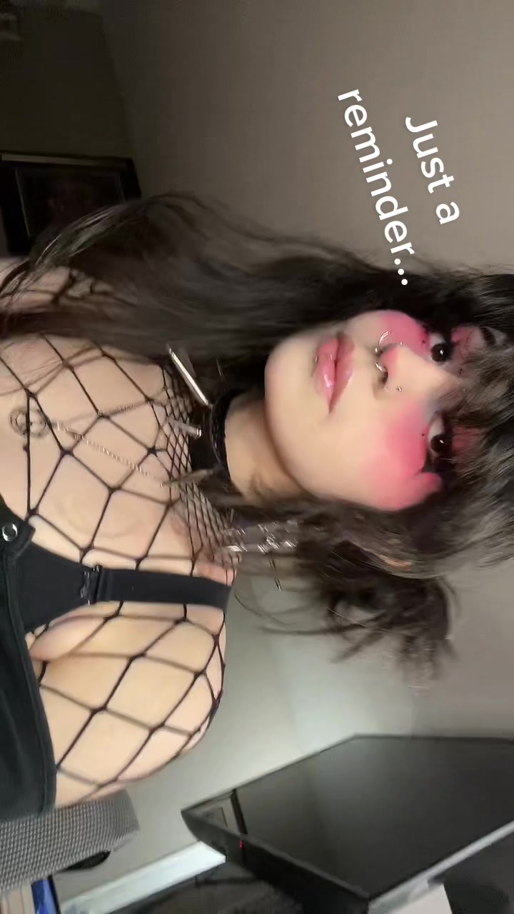 @bambi / fawn
