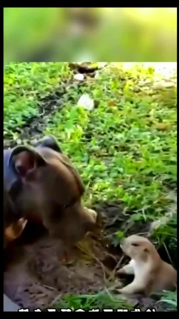 @bishuvmn1cp