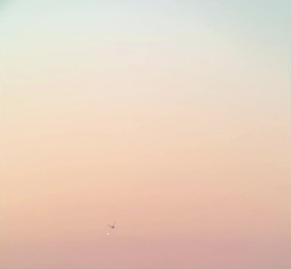 @🛩️