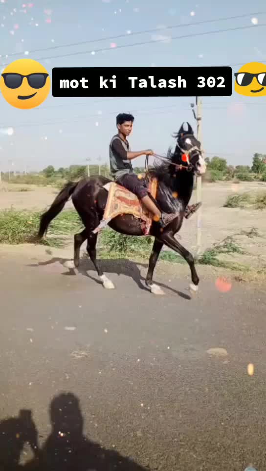 @user830043753835