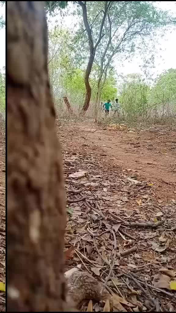 @Ani Sardar