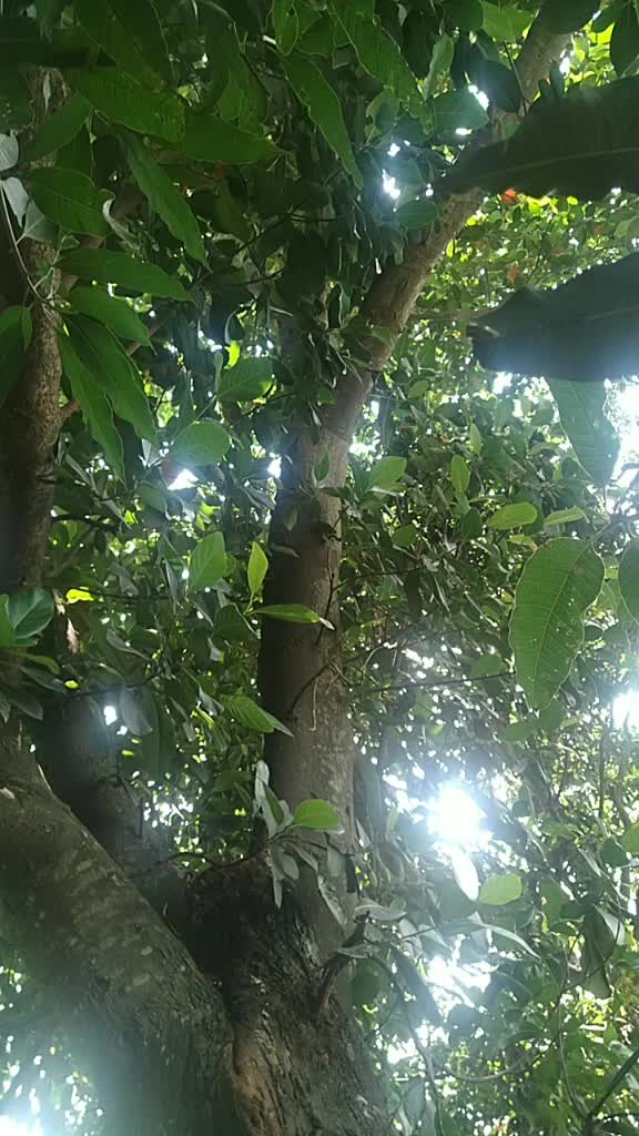 @Ankur Chauhan