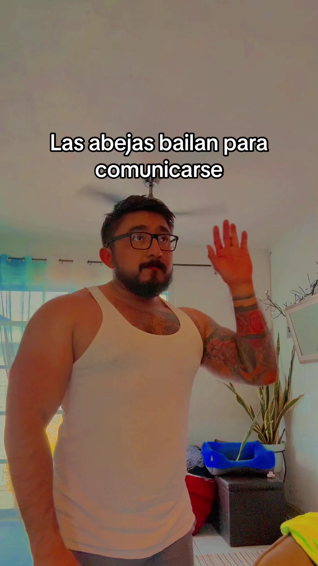 @Bearzacerza