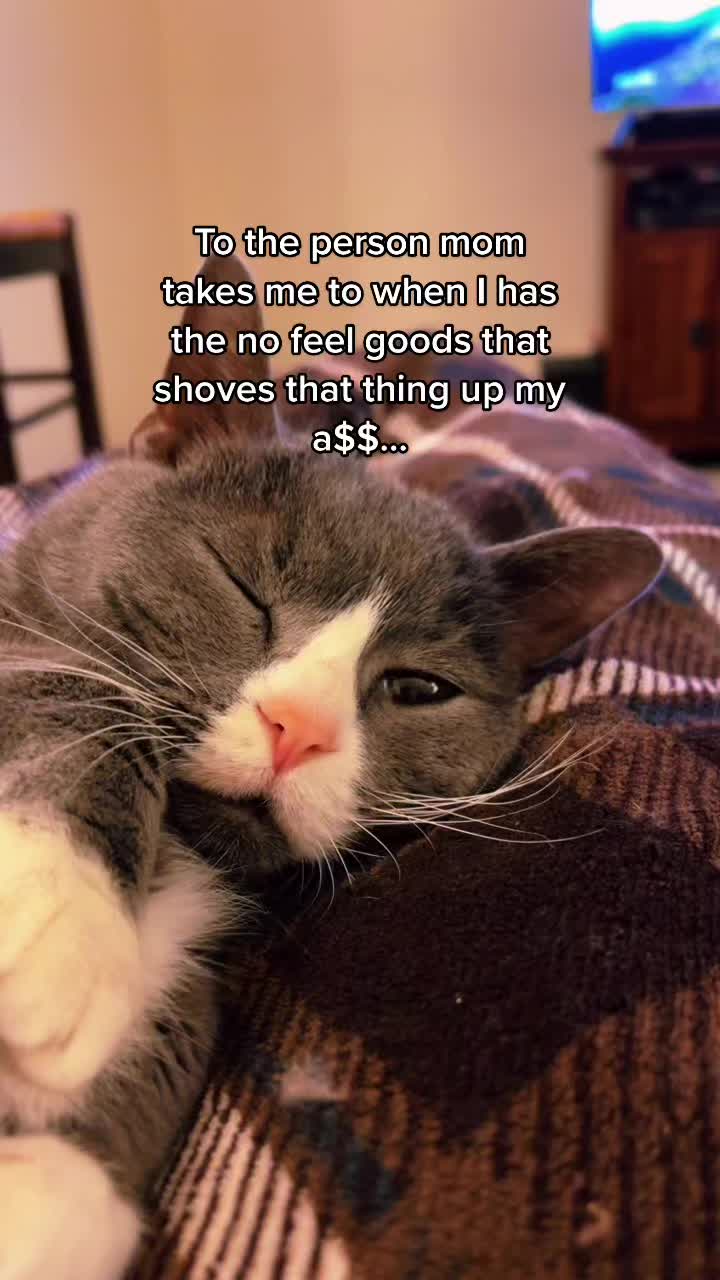 @Trixie the Tuxie
