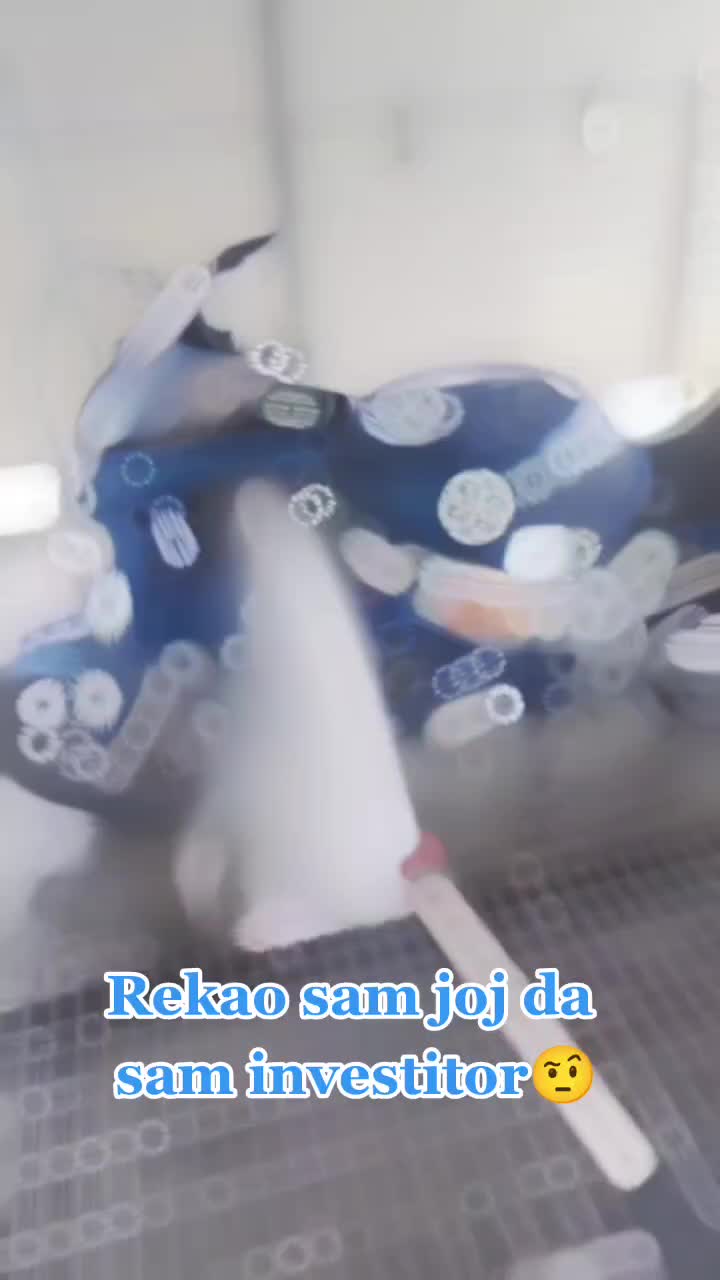 @Mitkee