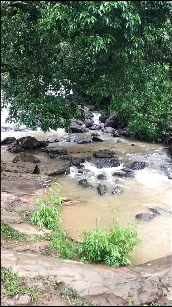 @mr.shri_93