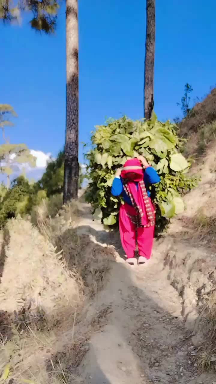 @kanchan magarni