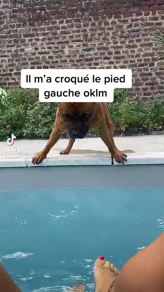 @Lucie Gaumont