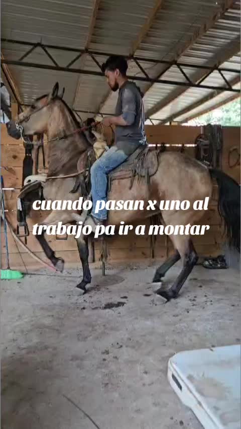 @joserefugiodiaz49