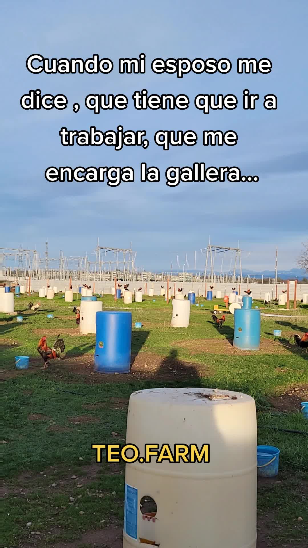 @TEO.FARM.CECI