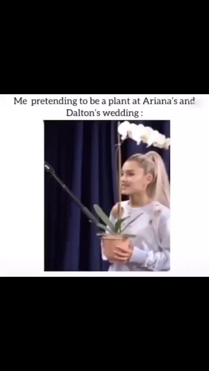 @𑁍Ari is queen𑁍