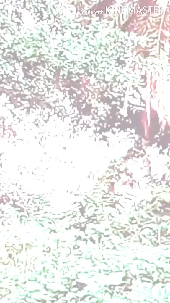 @đSad boy Pujanđ