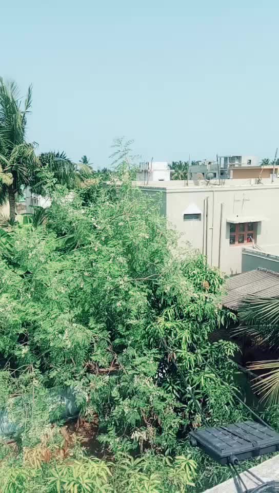 @Dhanaraj