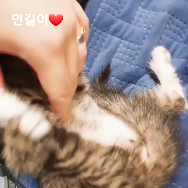 @민길이