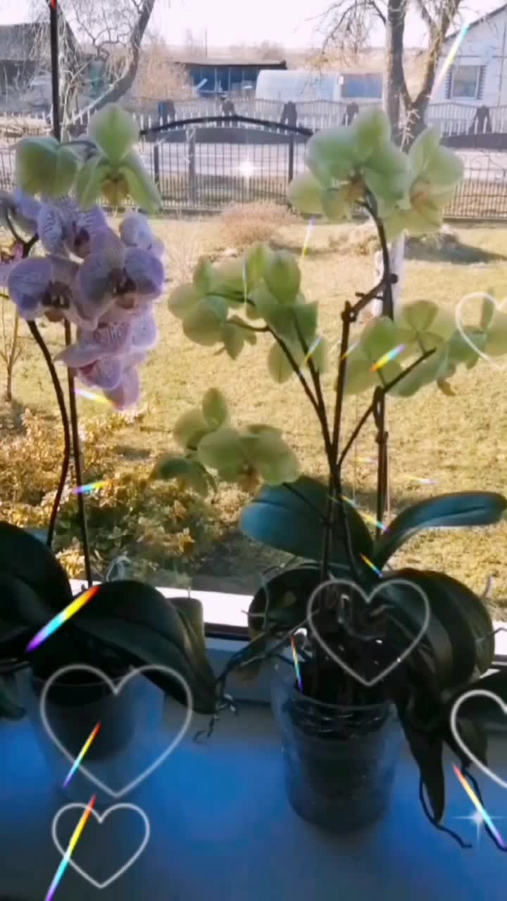 @user04012852532