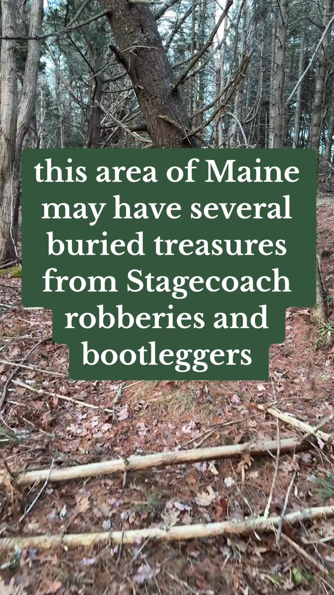 @a Maine man