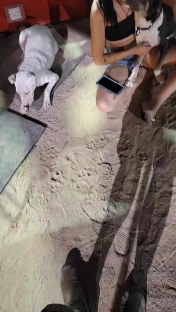 @𝔑𝔶𝔵 𝔇𝔯𝔲𝔢