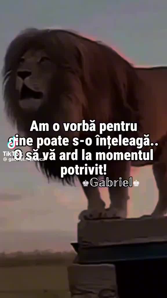 @Geo Gabor