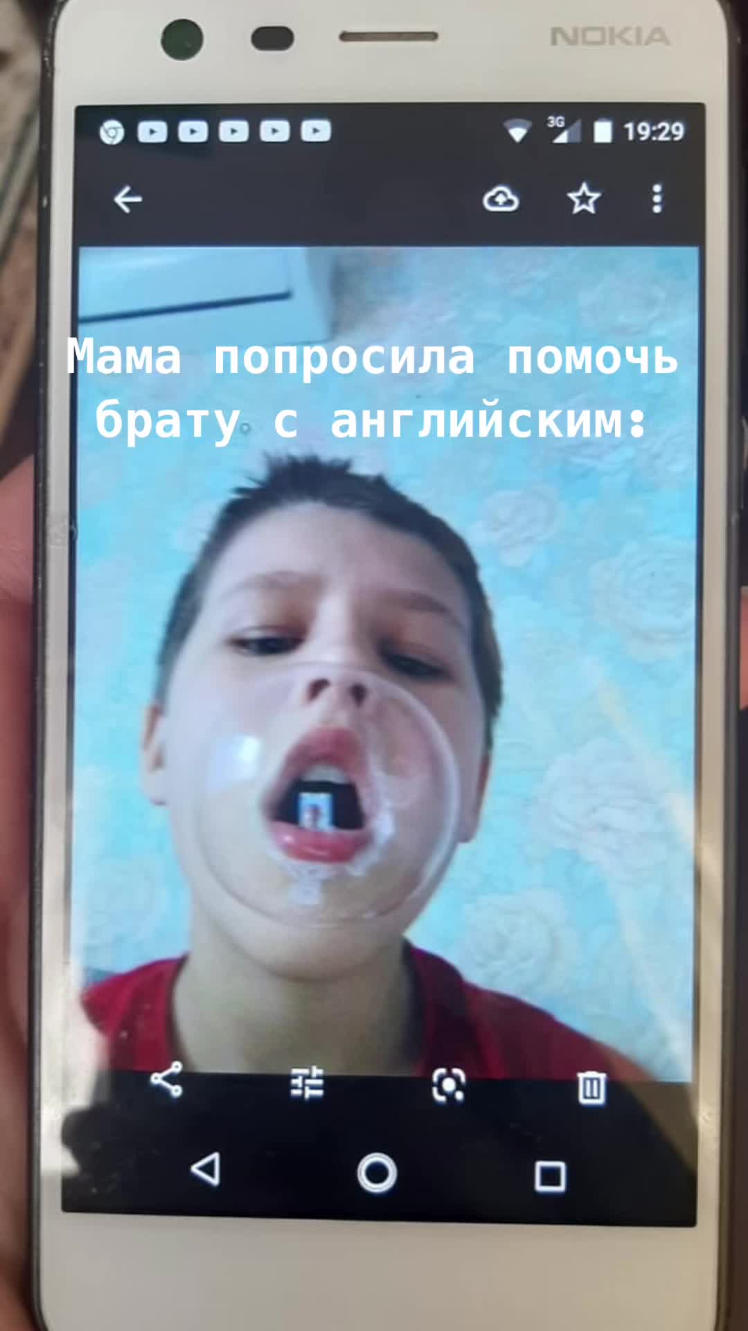@Алина Высоцкая