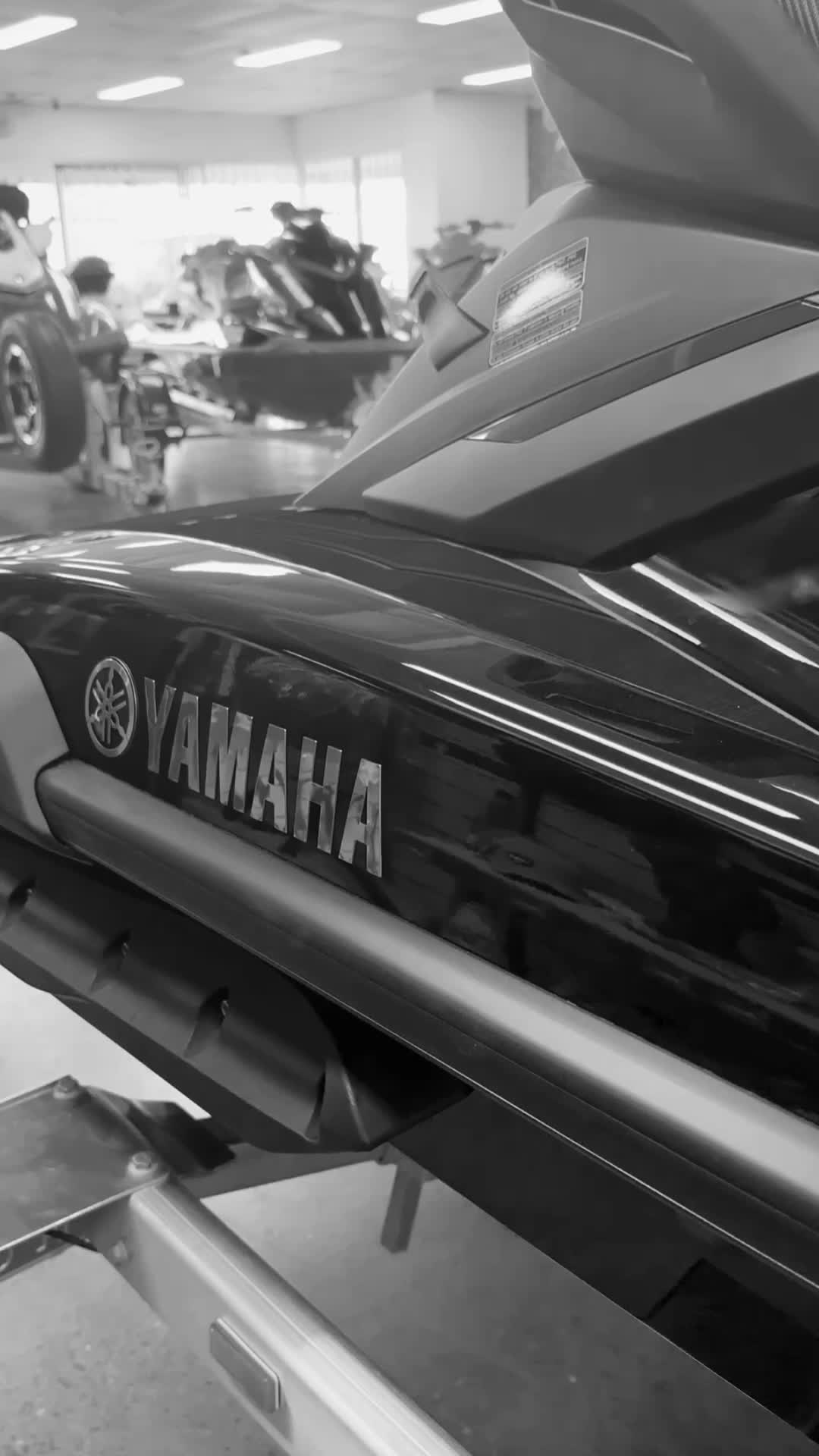 @Shoreline Yamaha
