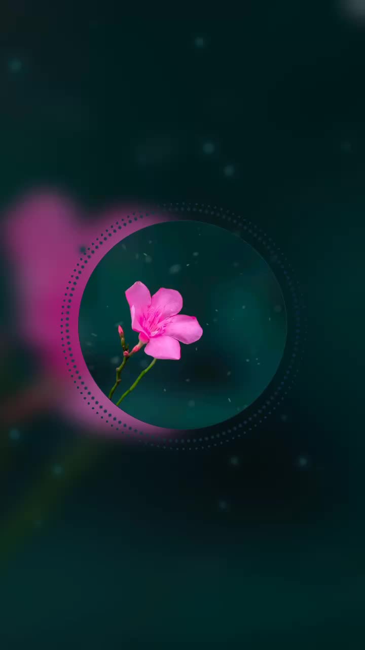 @🎧៣៩ɭ០ᖱƴ ¢០Ʀ⩎៩Ʀ🎧