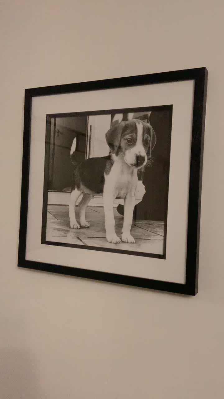 @Lync the Pocket Beagle ๐ถ