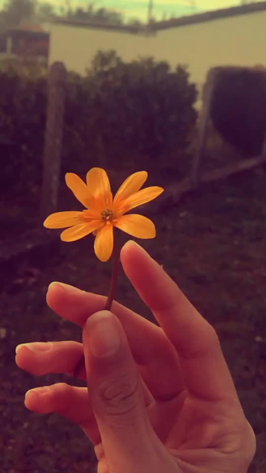 @💮