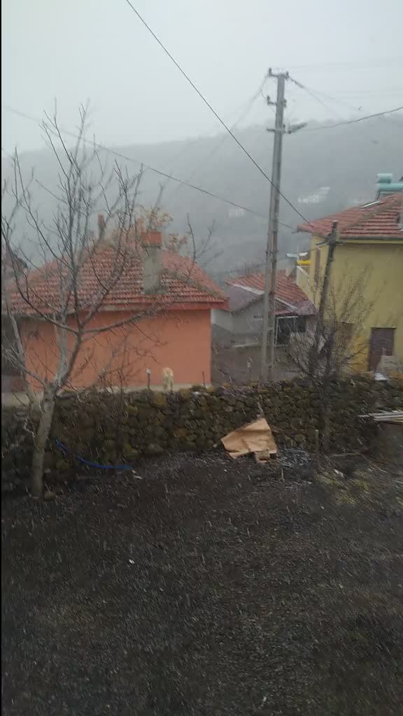 @sevgi