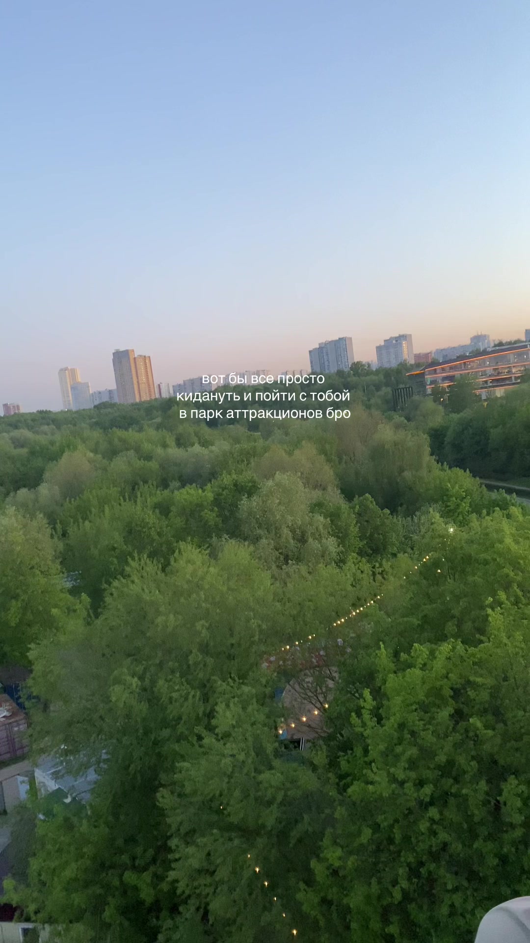 @лацертида