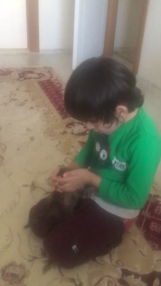 @ŞİRİN 🐈🐈