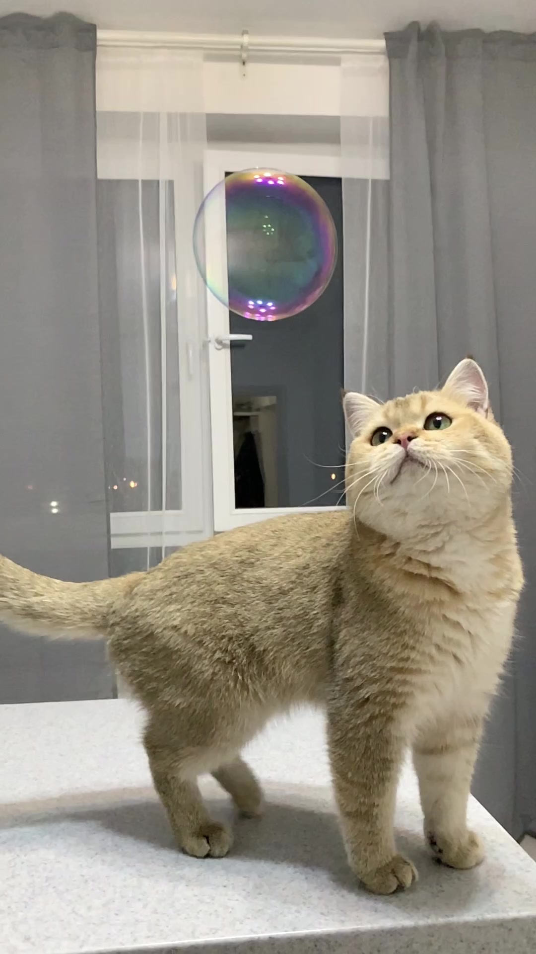 @Oscar