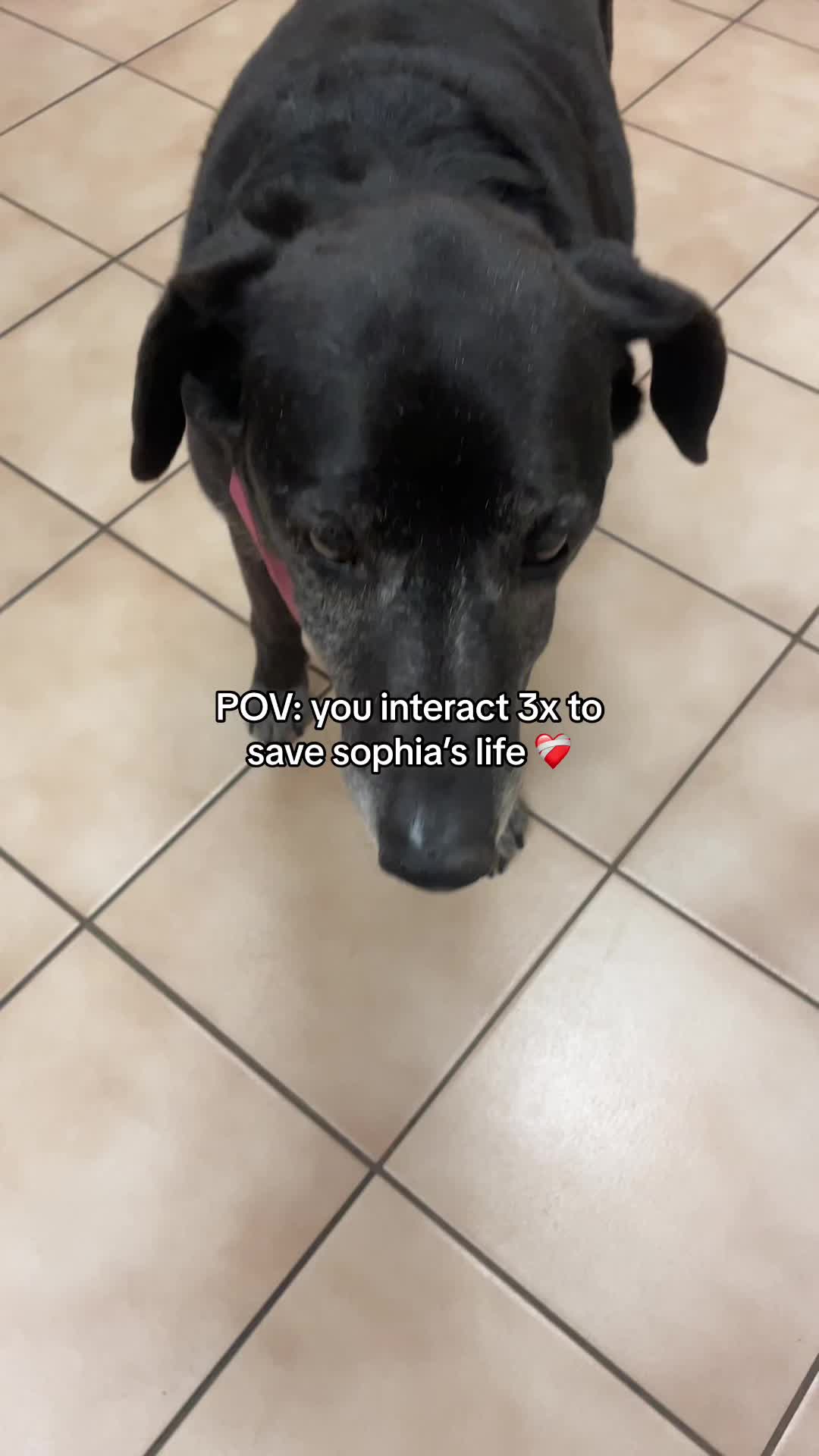 @emily