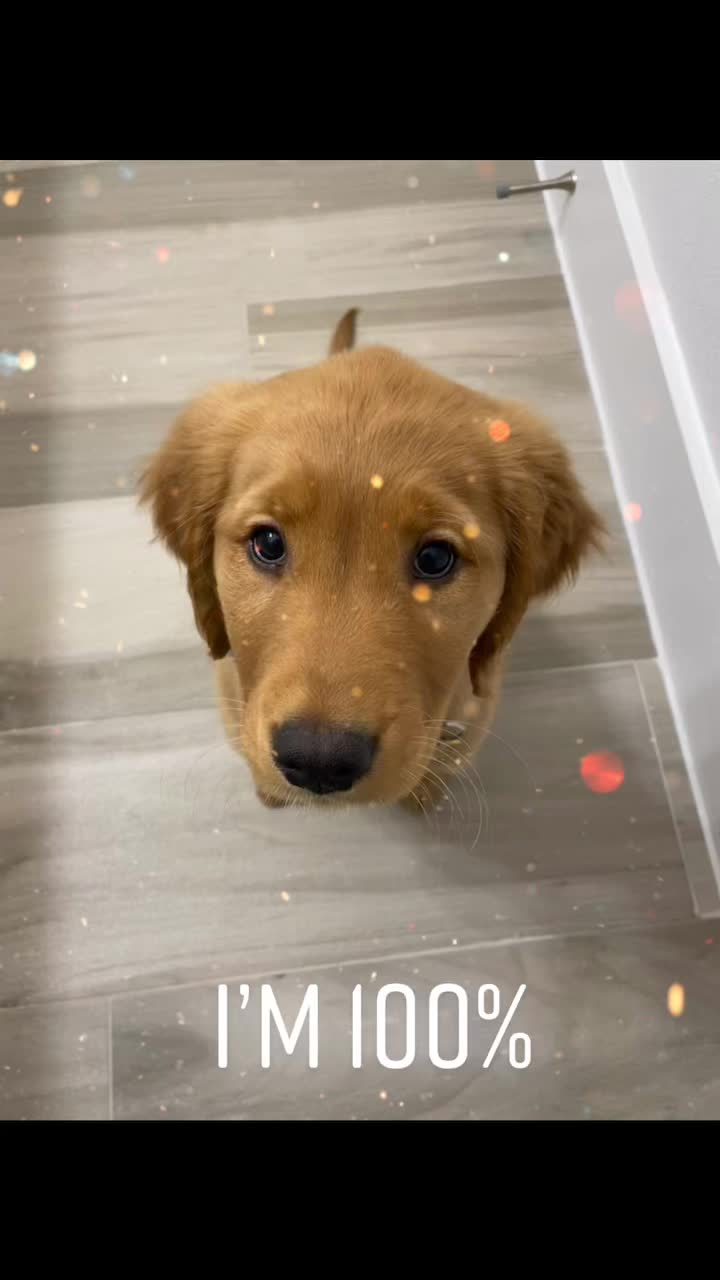 @Westley The Golden