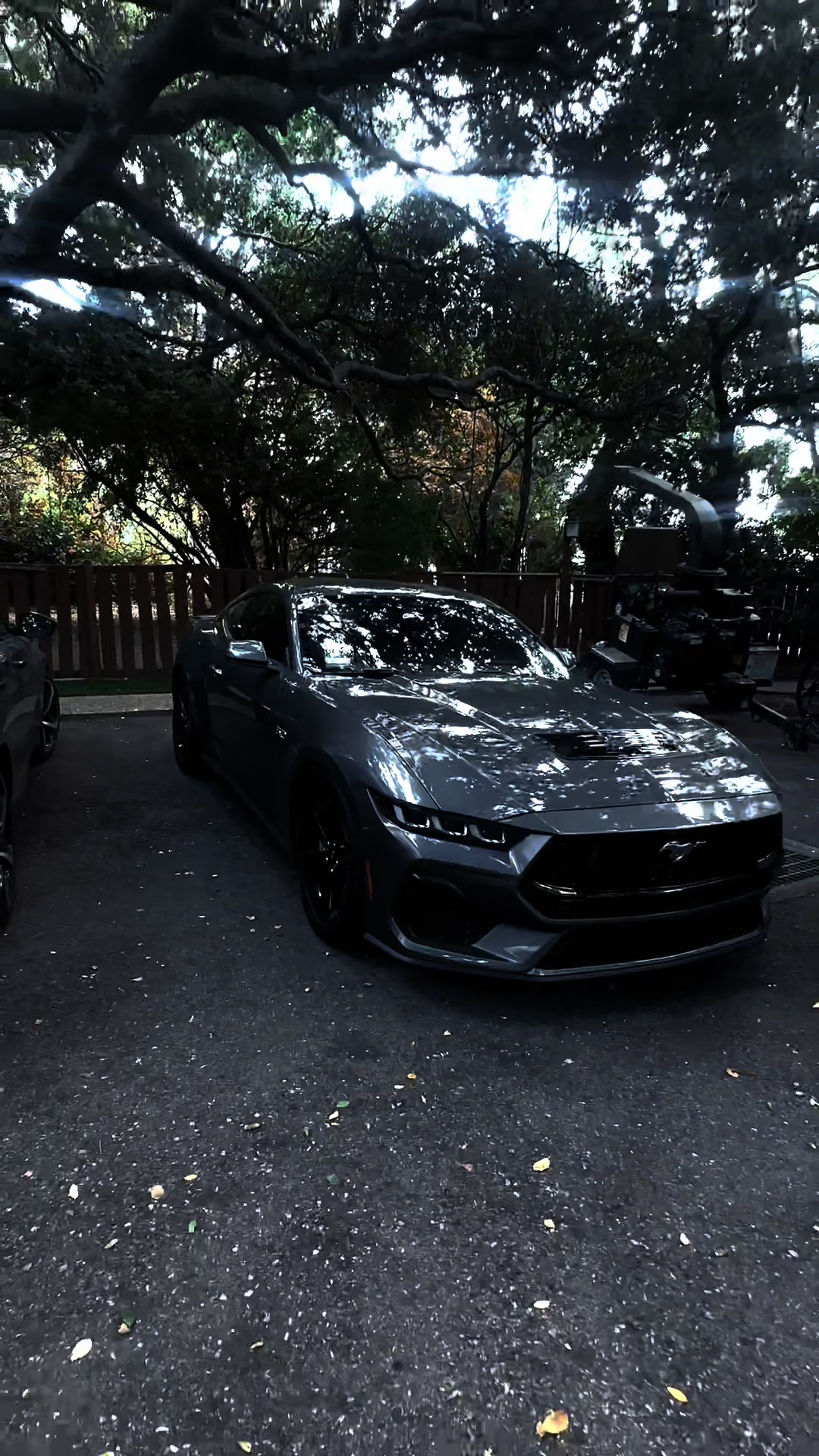 @yayo_S650