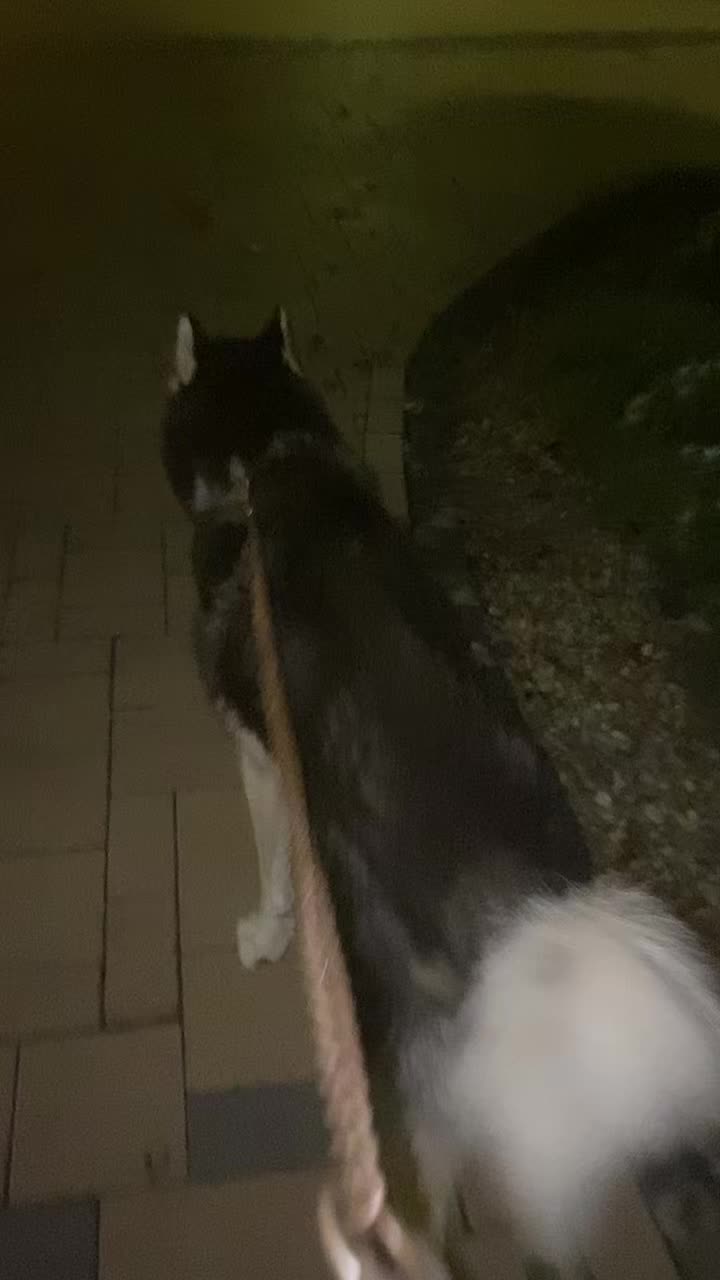 @Neli K&aacute;li, 🥰