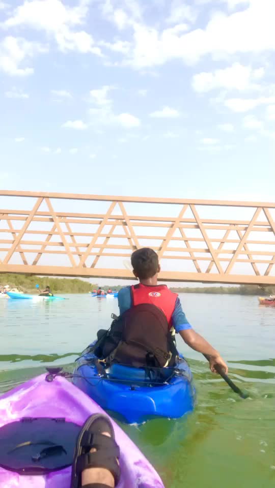 @BASSAM SHAMS