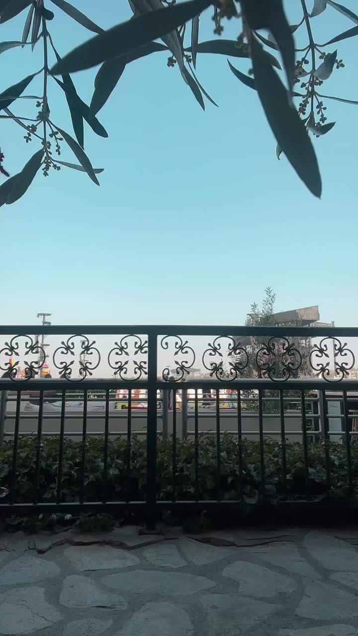 @nianation🔮