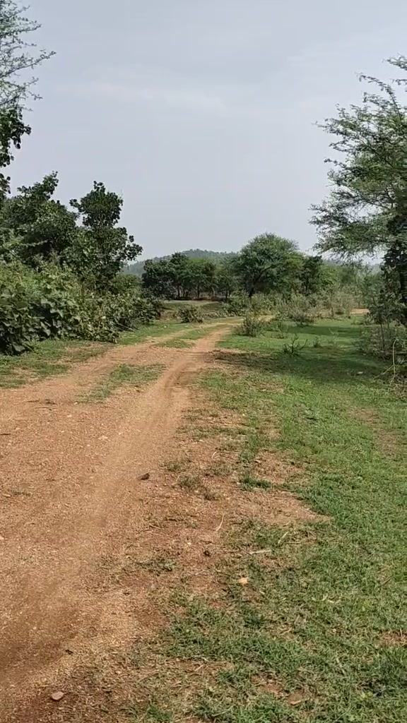@CG_king_🤴