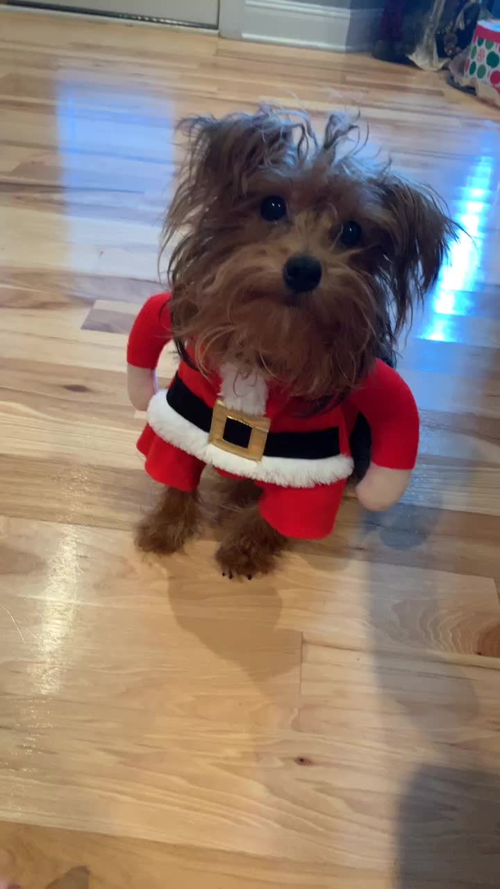 @ElliottAndSophie