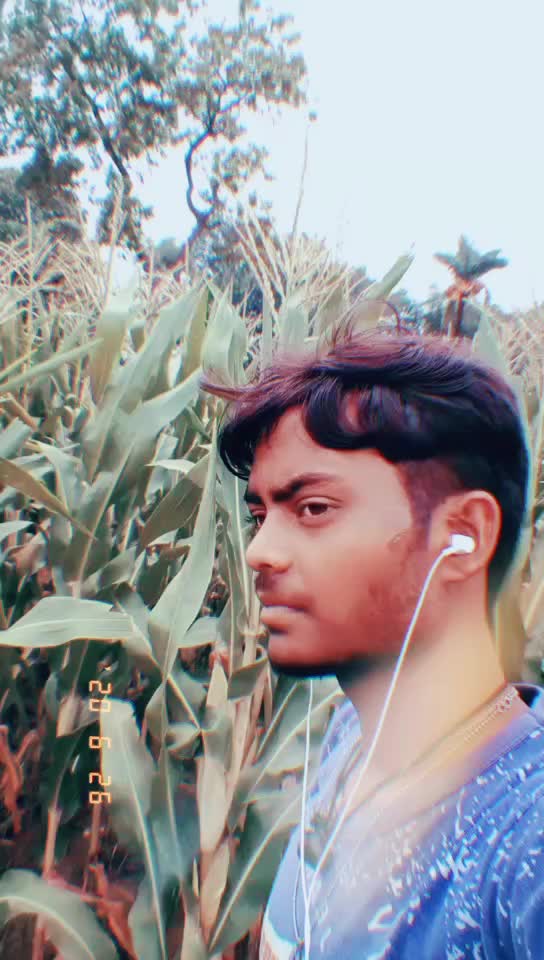 @Babu Ray Babu Ray492