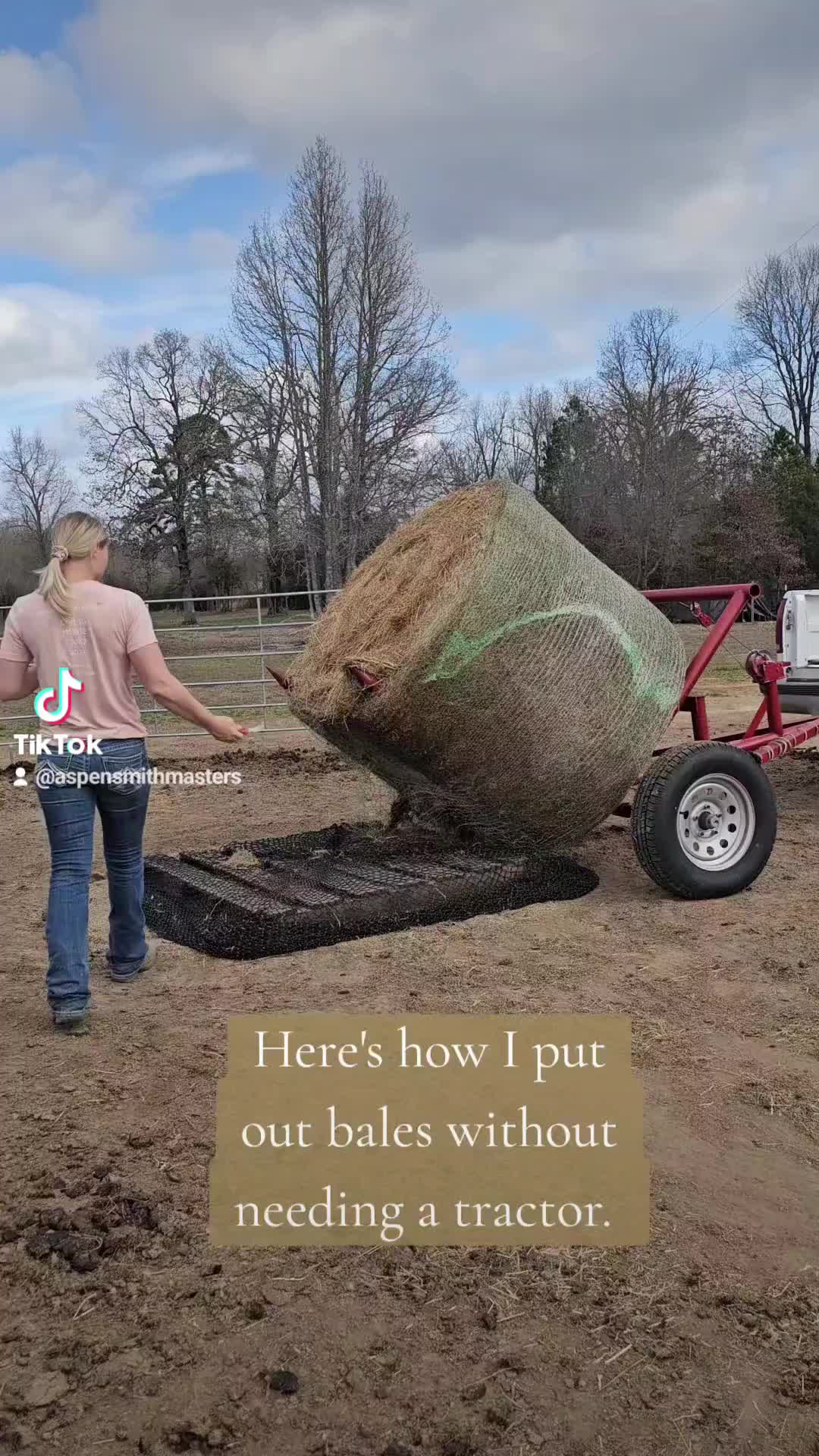 @Ozark Mountain Horses LLC