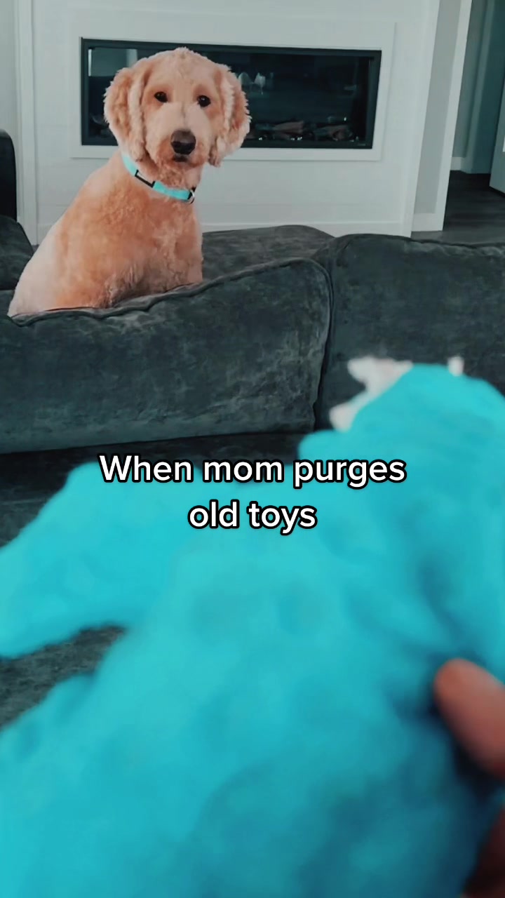 @Dood