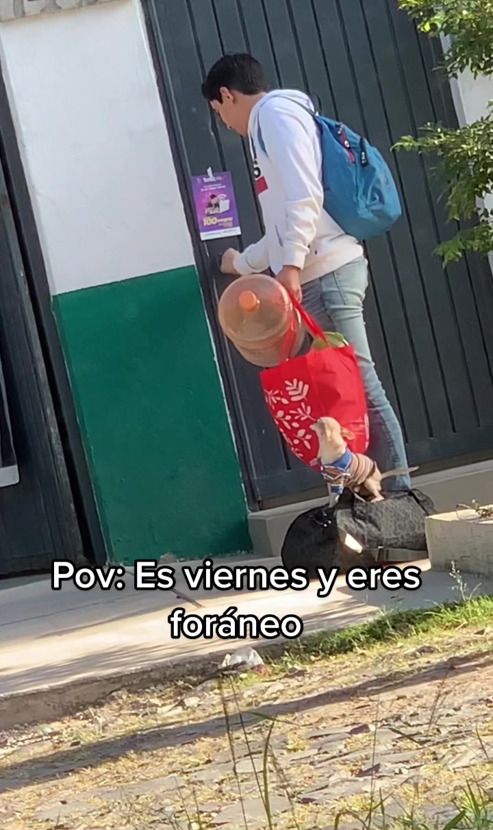 @Azenith Godinez