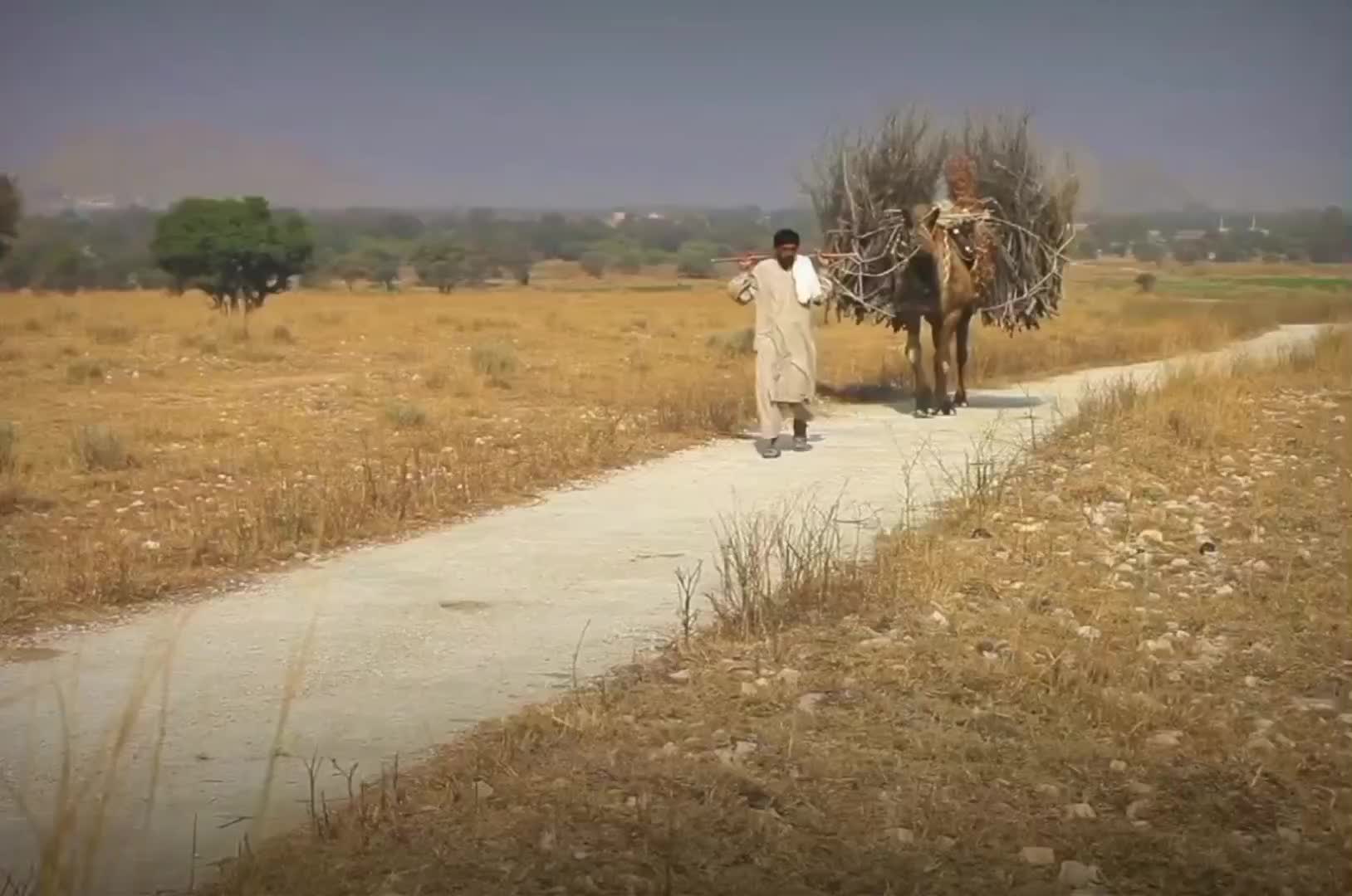 @سون ویلی 🌹