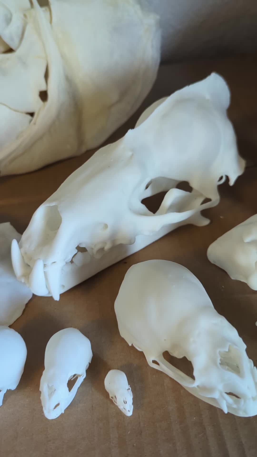 @Skullatorium
