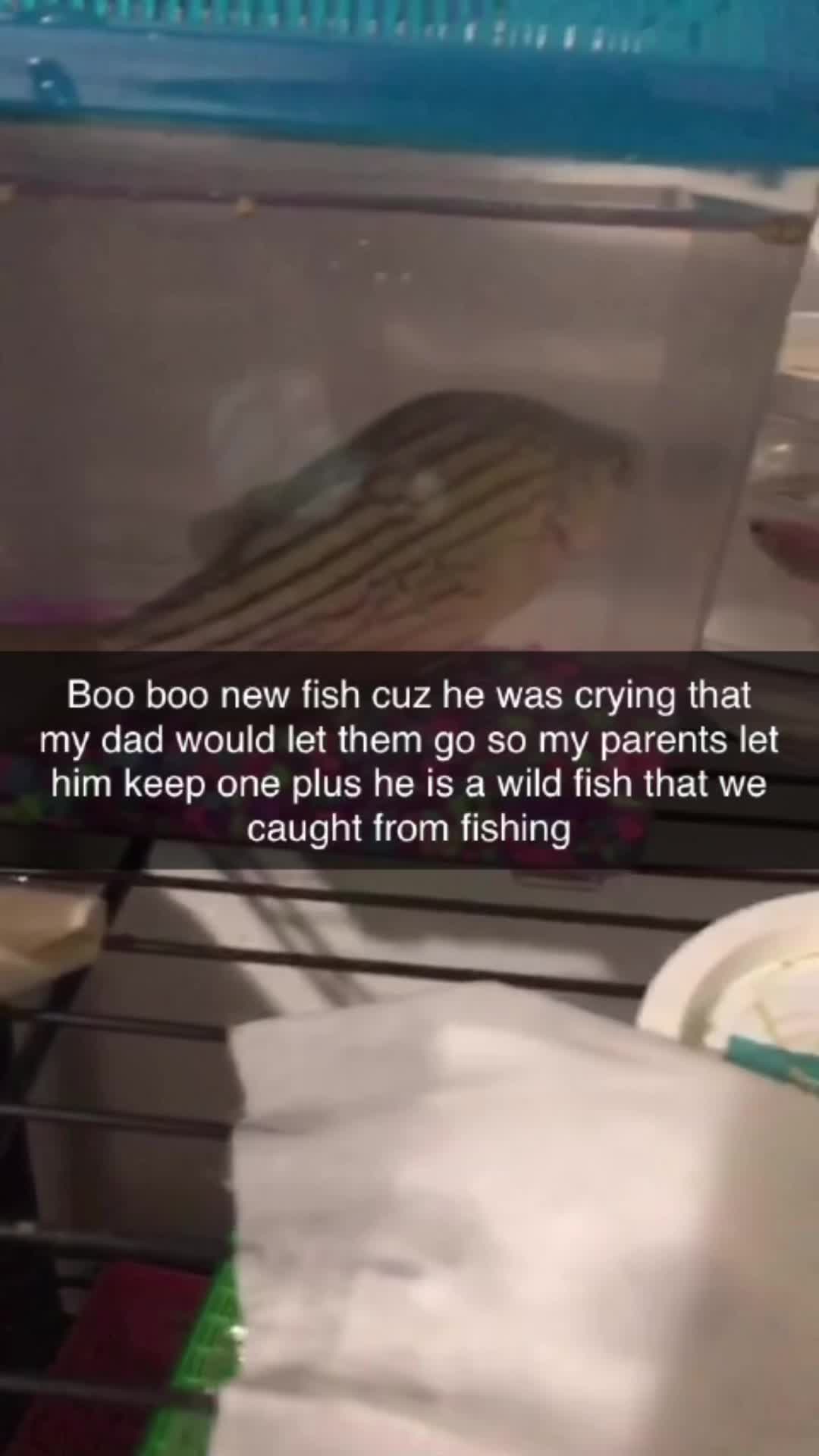 @cousinXkrew